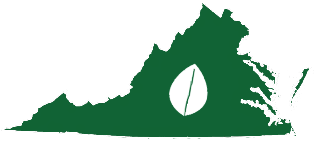 NCcorn